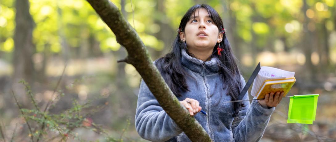 A student stands in a forrest holding a notebook and green flag for conducting field work.